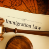 Immigration Lawyer in India for NRIs & Foreign Nationals Icon